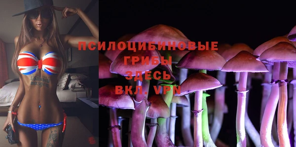 винт Богородицк