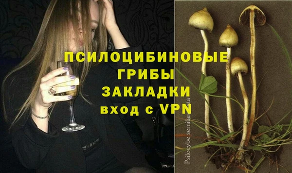 винт Богородицк