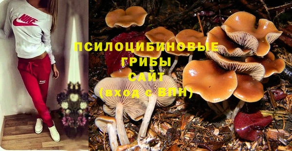 метадон Богородск