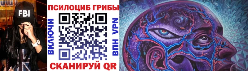 Псилоцибиновые грибы GOLDEN TEACHER  закладка  дарк нет формула  Волжский 